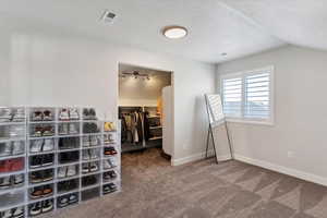 Bedroom with a textured ceiling, carpet flooring, a walk in closet, rail lighting, and lofted ceiling