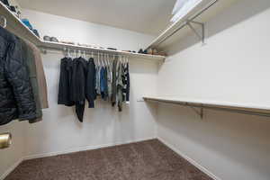 Walk in closet with carpet floors