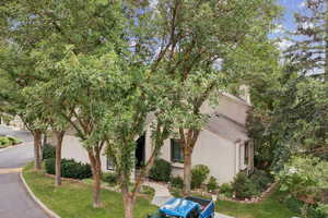 View of property hidden behind natural elements with stucco siding, roof with shingles, and a front yard