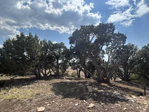 View of undeveloped land