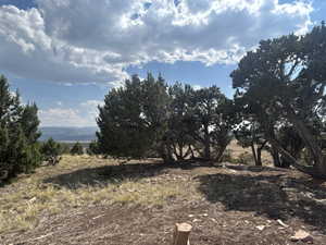 View of undeveloped land