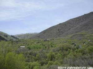 View of mountain background