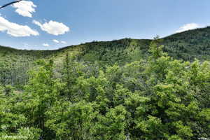 View of mountain background