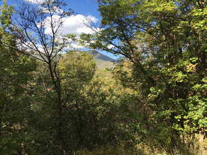 View of mountain backdrop featuring a heavily wooded area