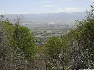 View from the upper area of Oak Haven