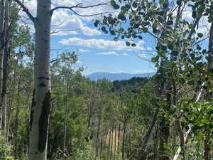 Mountain view featuring a forest