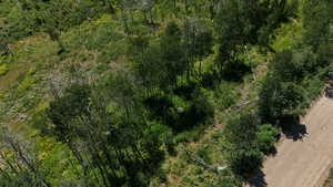 Aerial overview of property's location