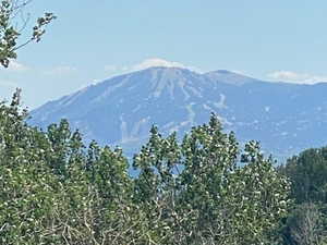 View of mountain backdrop