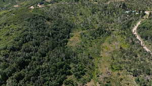 Aerial overview of property's location with a forest