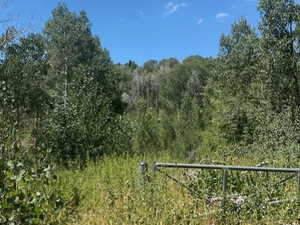 View of wooded area