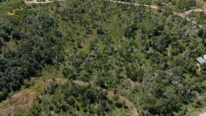 Aerial overview of property's location