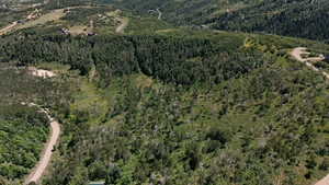 View of property location with a forest