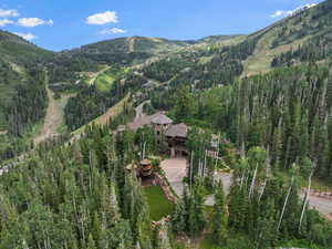 Mountain view with a forest