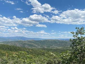 View of mountain background featuring a forest