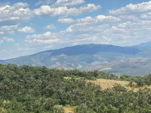 Mountain view with a heavily wooded area