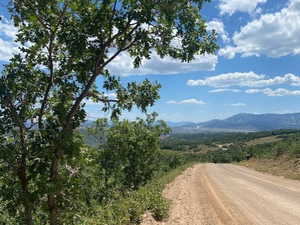 View of dirt / gravel road