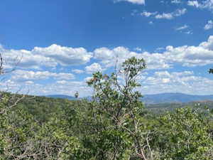 View of mountain backdrop with a forest
