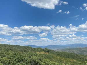 Mountain view featuring a forest