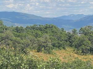 Mountain view featuring a heavily wooded area