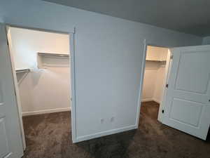 Unfurnished bedroom featuring a spacious closet and dark colored carpet