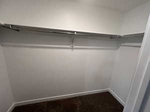 Spacious closet featuring dark colored carpet