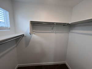 Spacious closet with dark colored carpet