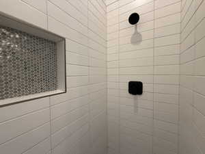 Bathroom view of tiled shower