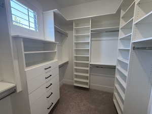 Spacious closet with dark colored carpet