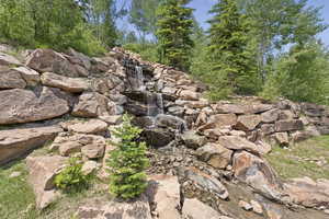 View of local wilderness