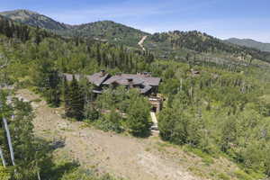 View of mountain background with a forest