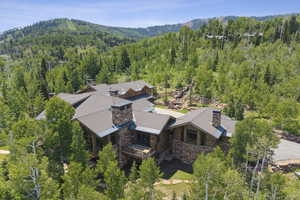 Aerial view of property and surrounding area featuring a heavily wooded area and a mountain backdrop