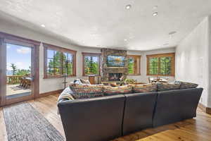 Living room featuring a fireplace, hardwood / wood-style floors, and recessed lighting