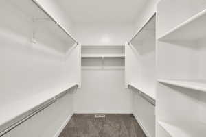 Spacious closet featuring dark colored carpet