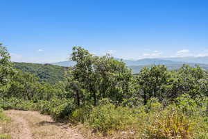 Mountain view with a forest