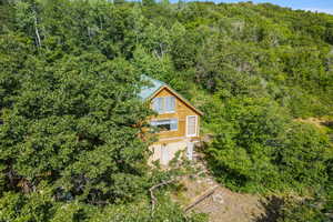 Aerial view of property and surrounding area with a forest