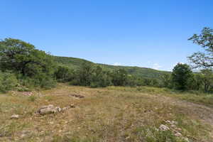 Mountain view featuring a forest