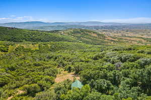 Drone / aerial view of a heavily wooded area and mountains