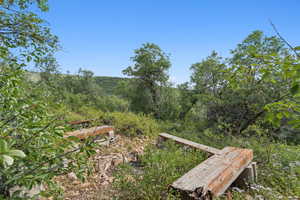 View of yard featuring a wooded view