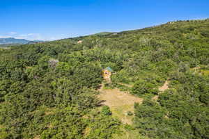 Bird's eye view of a forest and mountains