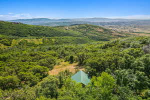 View of mountain background featuring a forest