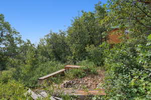View of yard with a forest view