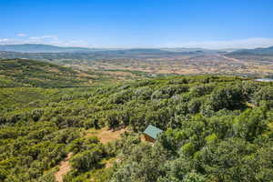 Bird's eye view of a mountainous background and a heavily wooded area