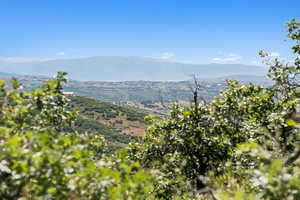 View of mountain backdrop