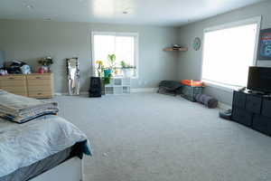 Carpeted bedroom with multiple windows