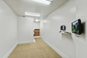 Hall with light carpet and baseboards