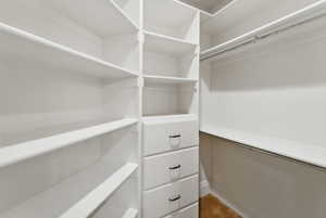View of spacious closet