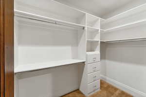 Spacious closet featuring light carpet