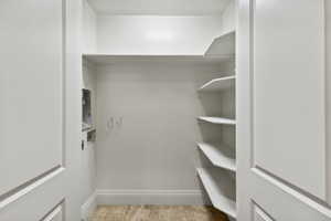 View of walk in closet