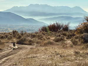View of mountain backdrop