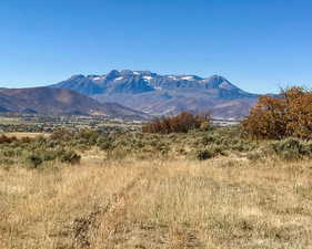 View of mountain background